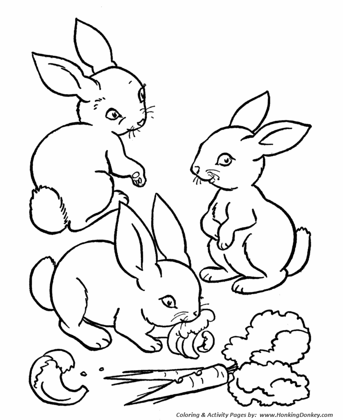 670x820 Farm Animal Coloring Pages Printable Rabbits Eating Carrots