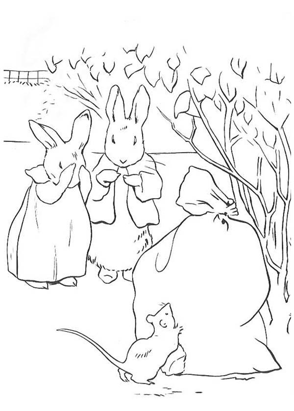 600x840 Rabbit Eating Carrot Coloring Pages