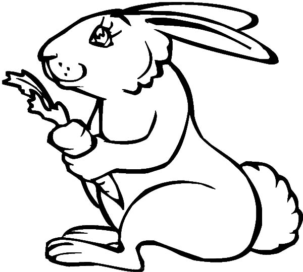 600x540 Rabbit Holding Carrot Coloring Pages Best Place To Color