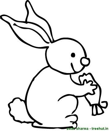 360x425 Rabbit Eating Carrot Coloring Sheet Coloring Pages