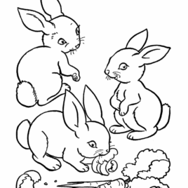 268x268 Animal Coloring Pages Rabbit Archives