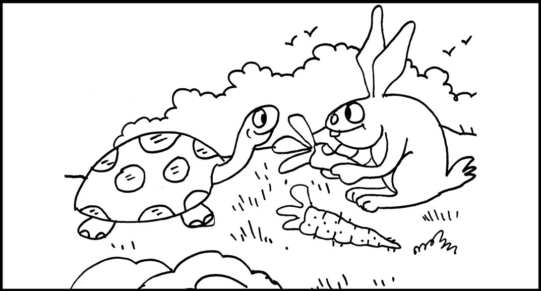 1073x577 Tortoise Looking