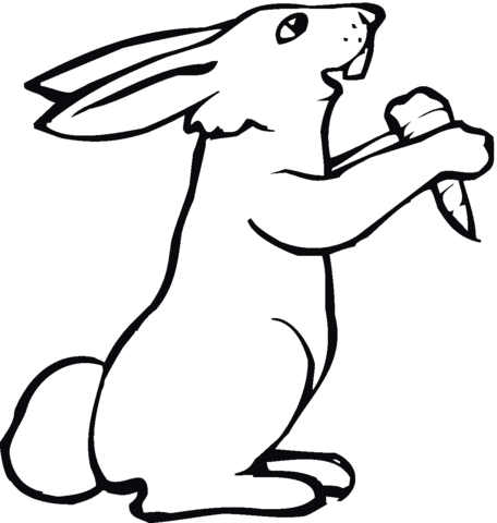 456x480 Bunny Eating Carrot Coloring Page Free Printable Coloring Pages