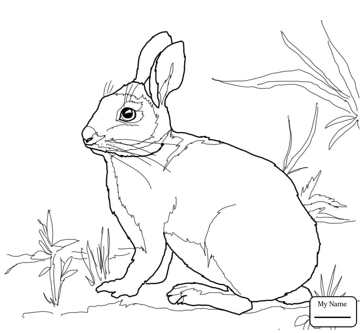 1224x1126 Cartoon Rabbit Rabbits Mammals Rabbits Coloring Pages For Kids