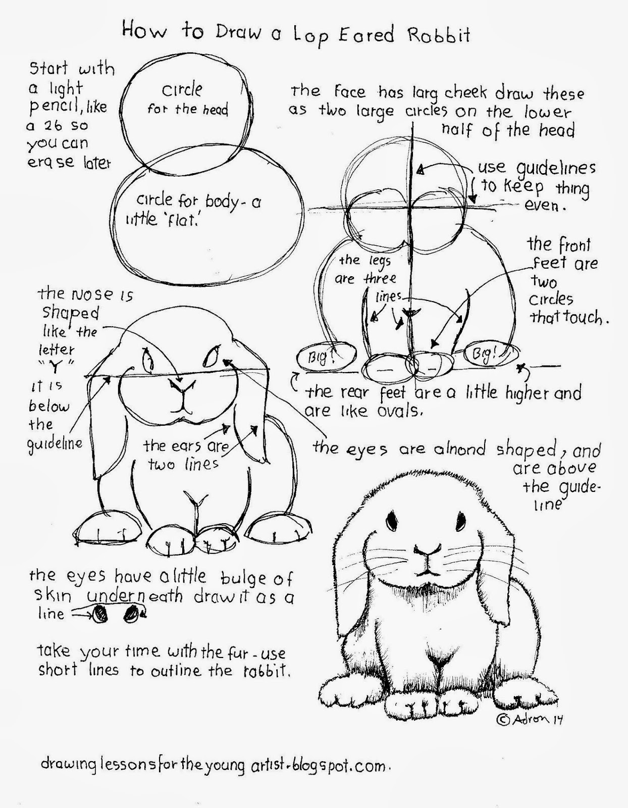 1244x1600 How To Draw Worksheets For The Young Artist How To Draw A Lop