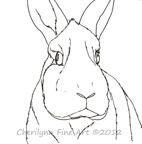 495x500 Portrait Of A Bunny Rabbit Pen