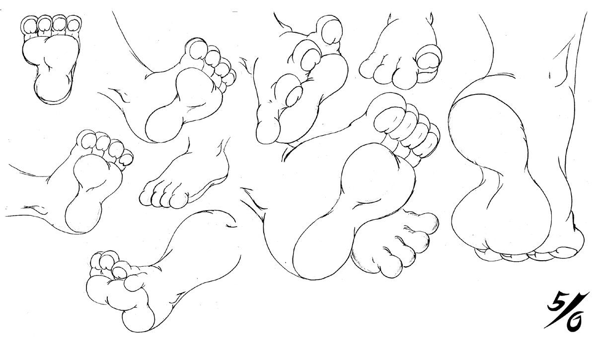 1200x700 Random Rabbit Feet Sketches By 50percentgrey