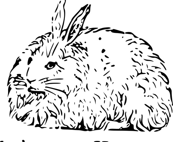600x493 Angora Rabbit Free Vector In Open Office Drawing Svg ( Svg