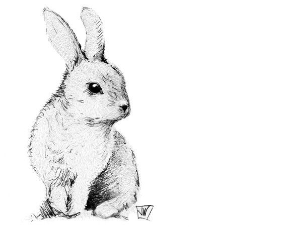 570x452 Bunny Rabbit Instant Download. Printable Art. Diy Iron On By
