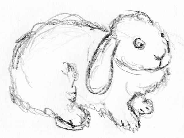 600x450 Bunny Sketches Son's Popkes