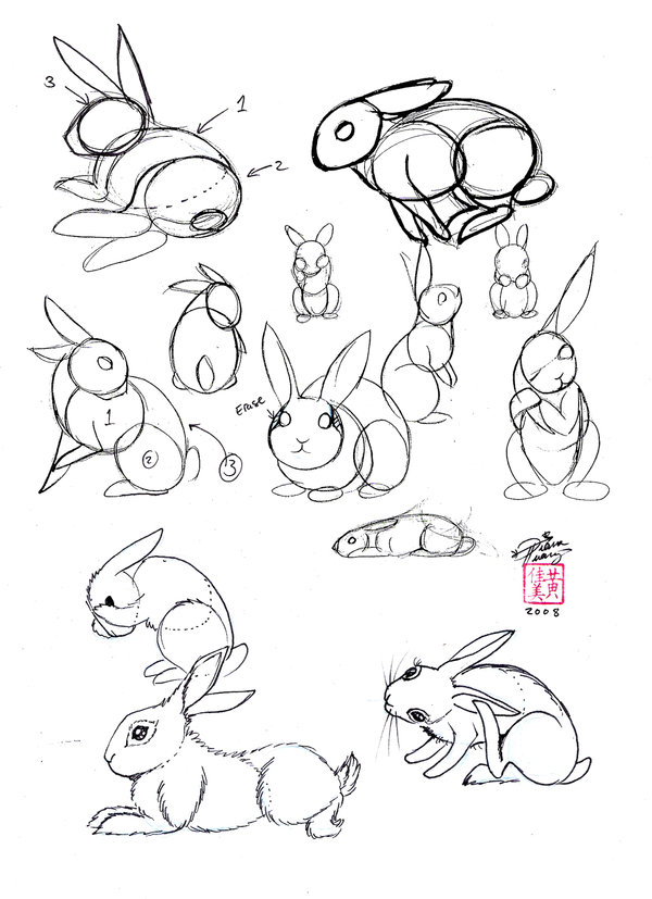 600x827 Draw A Rabbit By Diana Huang