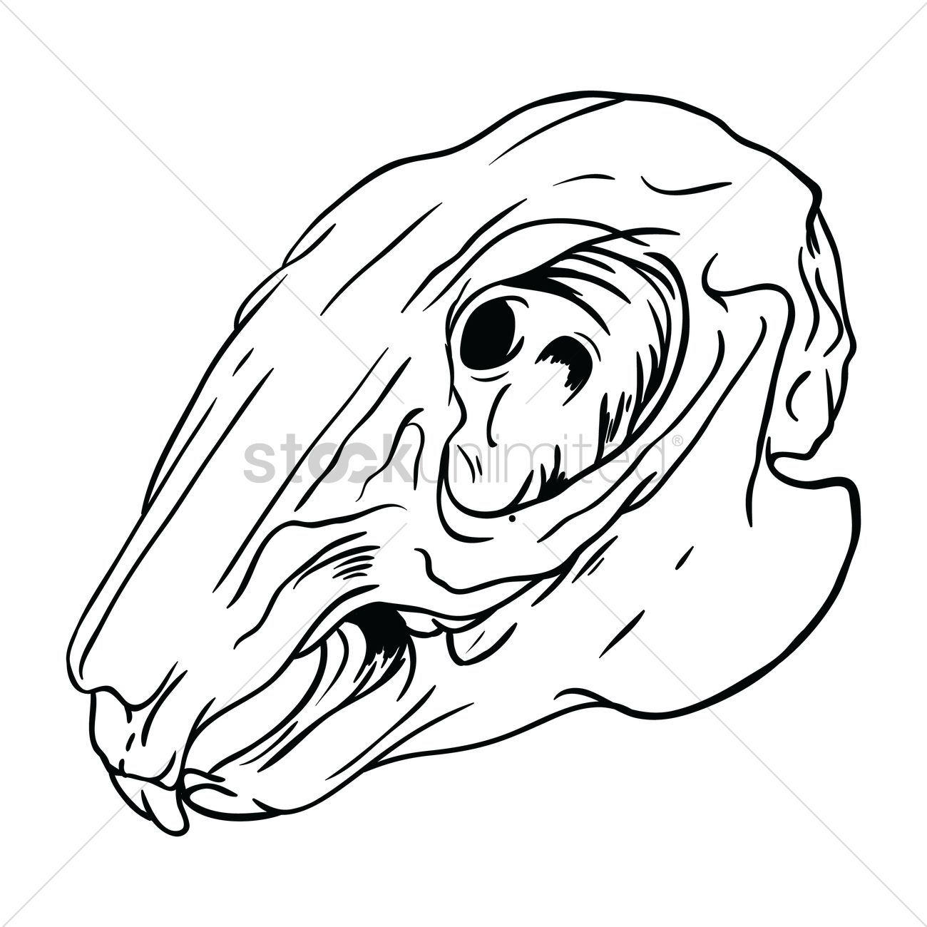 1300x1300 Free Rabbit Skull Vector Image