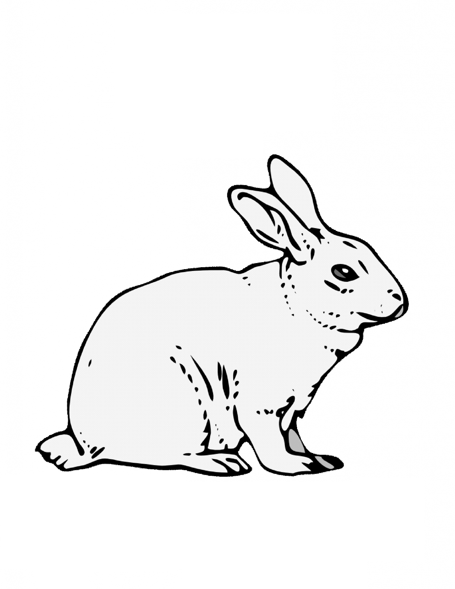 1582x2048 Rabbit Coloring Pages