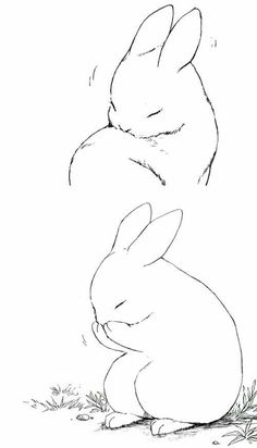 236x412 Bunny Outline Drawing Drawing Outlines, Bunny