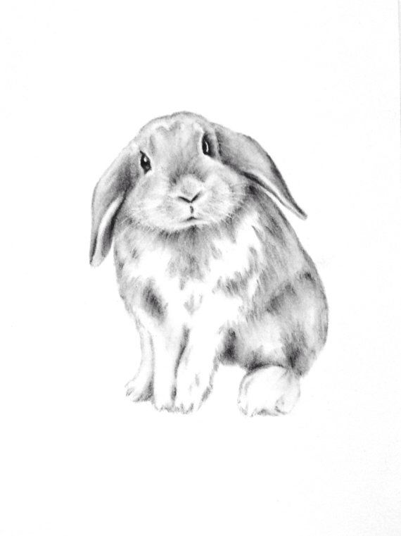 570x761 Wonderful Bunny Nursery Sketch. Osterkarten Bunny