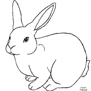 Rabbit Pencil Drawing Outline - bestpencildrawing