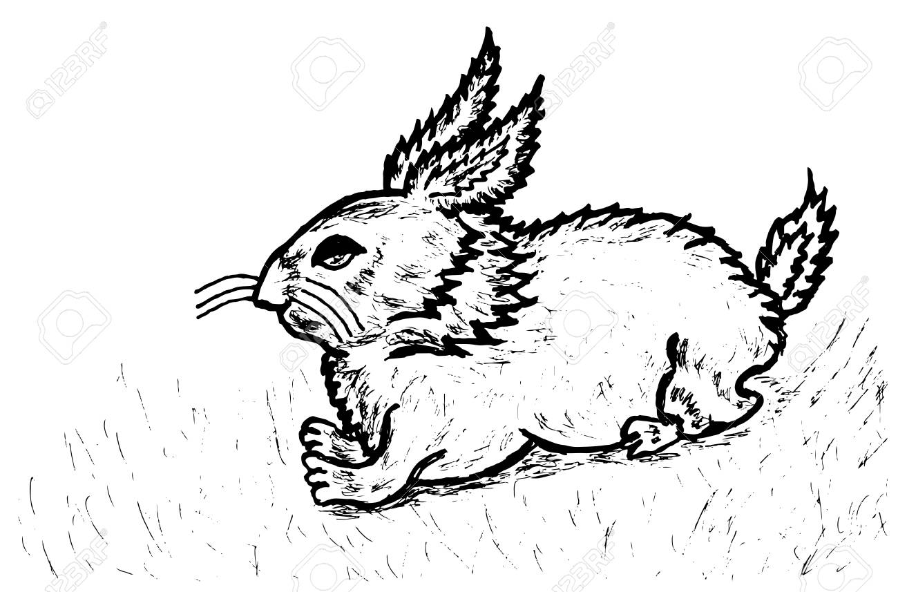 1300x857 Grunge Sketch Of A Cute Rabbit, Hand Drawn Illustration. Royalty