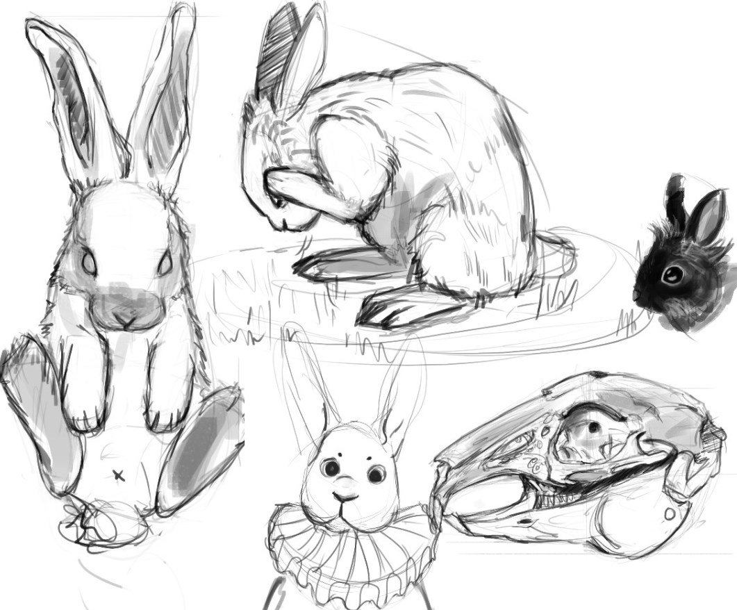 1061x878 Andreea On Twitter Some Old Bunny Sketches D
