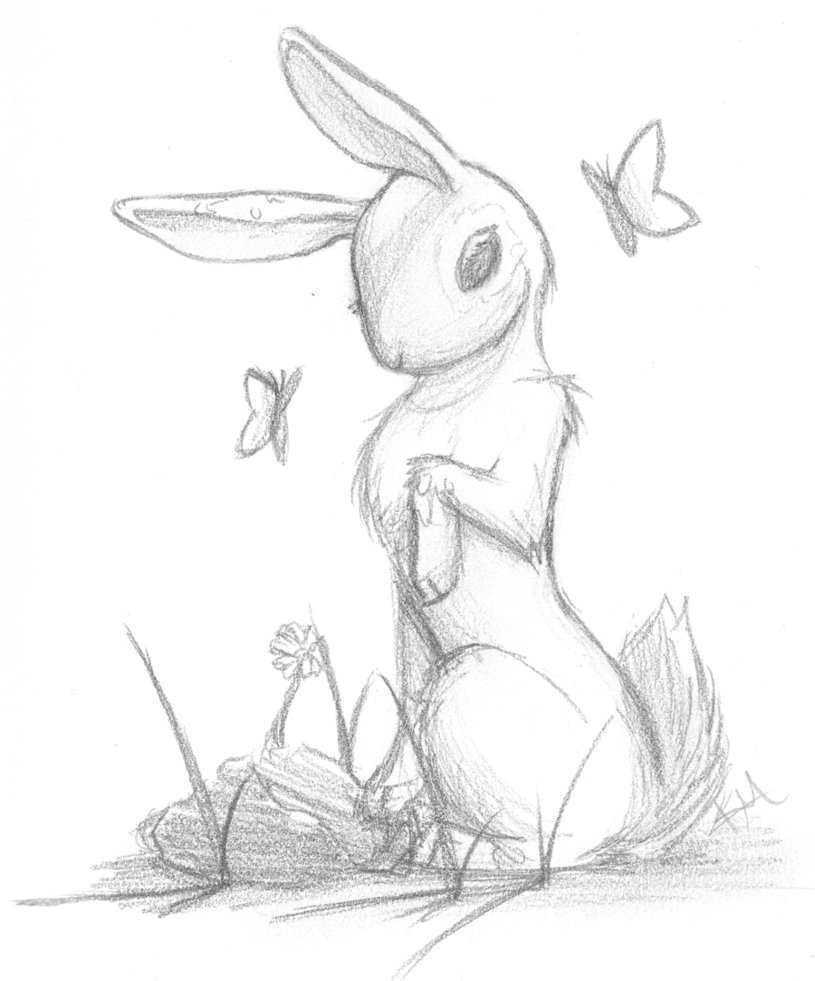 815x981 Bunny Sketch By Pandikko