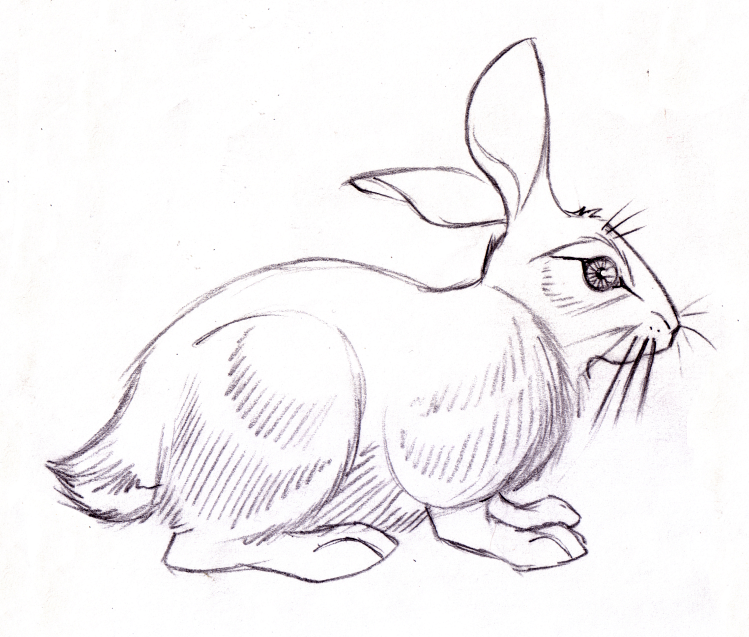 1524x1295 Carlos Gonzalves Art