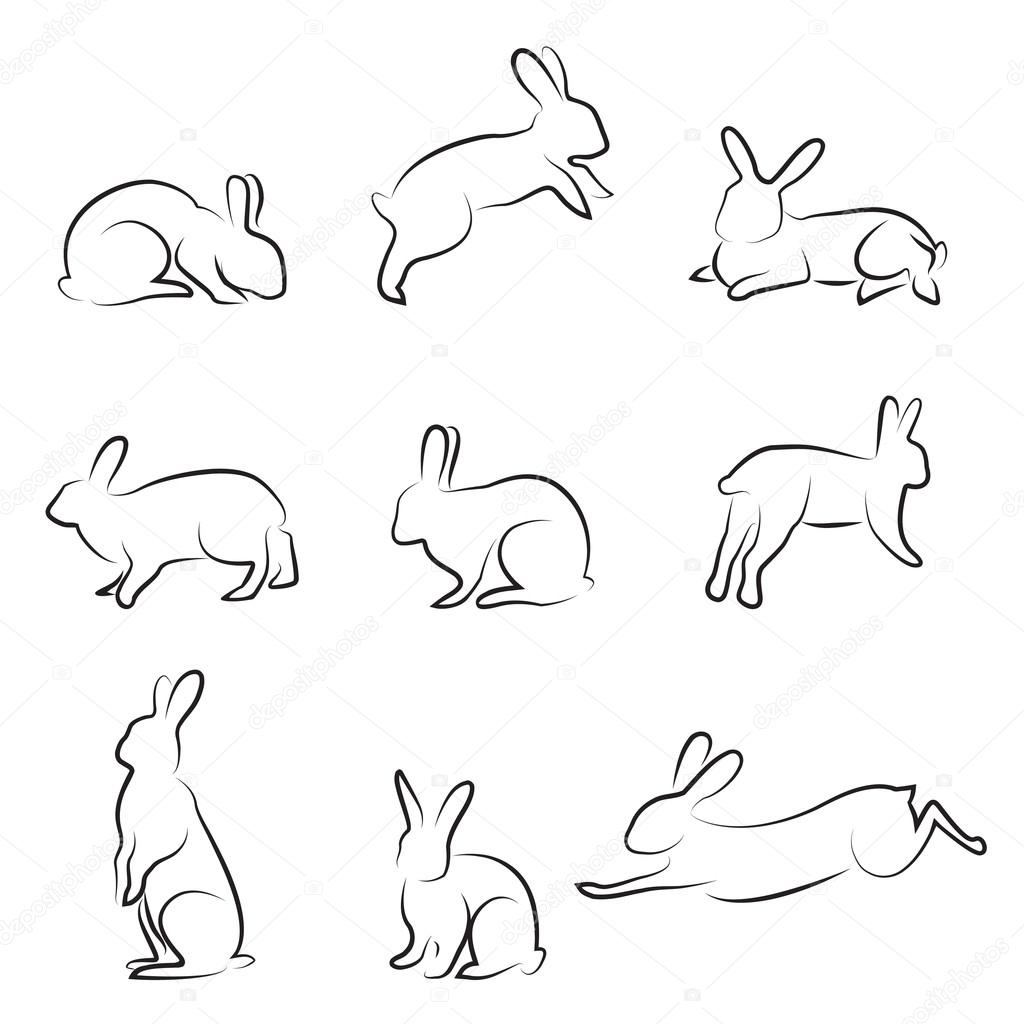 1024x1024 Rabbit Drawing Stock Vector Bogalo