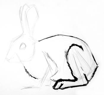 350x323 How To Draw A Rabbit