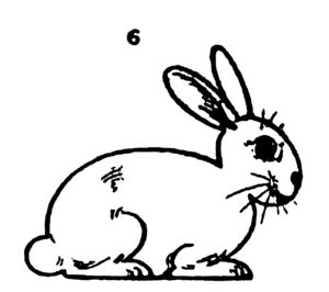300x266 Step By Step Drawing A Rabbit 6 Drawing For Kids Step By Step