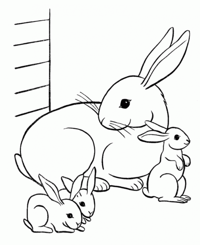 700x856 Drawn Rabbit Coloring Page