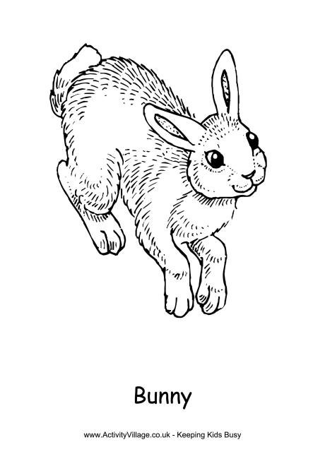 460x650 Rabbit Colouring Pages