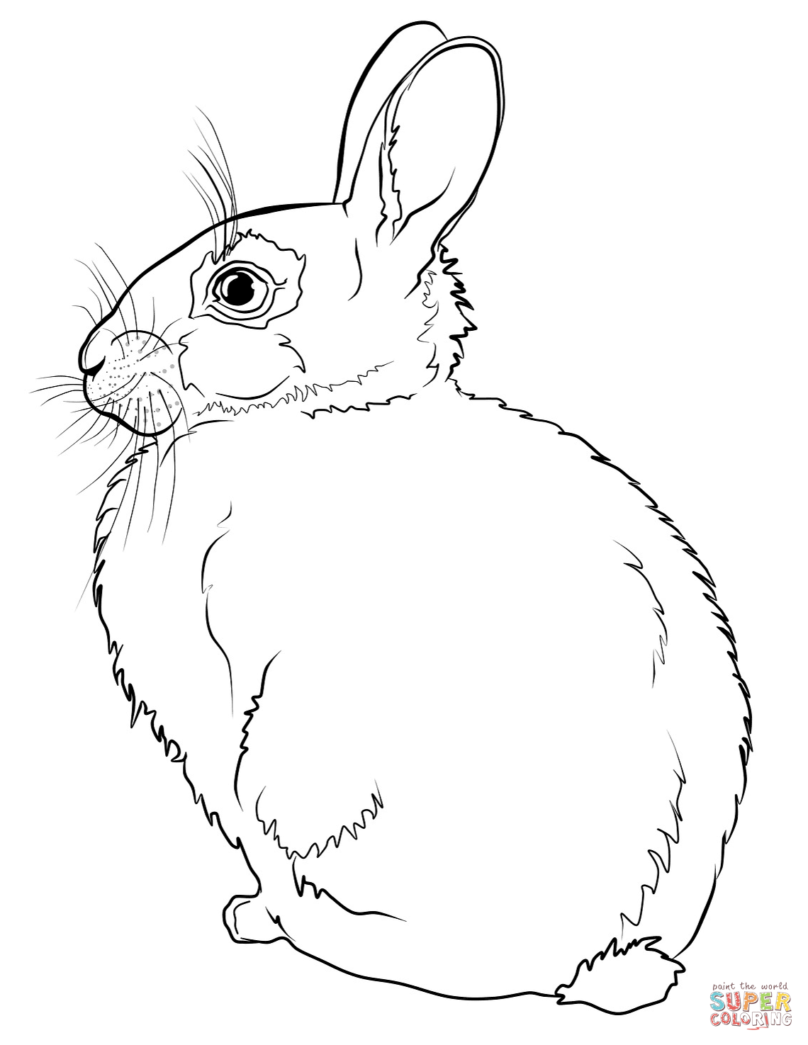 1140x1475 Rabbits Coloring Pages Free Coloring Pages