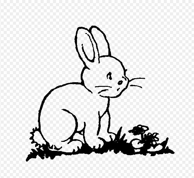 630x576 Cute Bunny Rabbit Clipart Black And White Free Download All