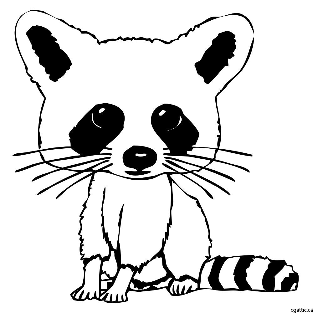 1000x1000 Cartoon Raccoon Drawing In 4 Steps With Photoshop Raccoons