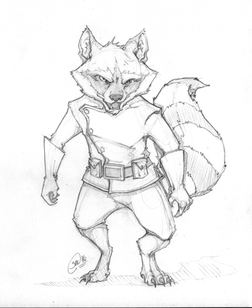 809x987 Rocket Raccoon Sketch By Megume
