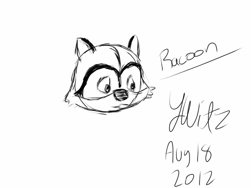 1024x768 Raccoon Drawing Easy For Kids