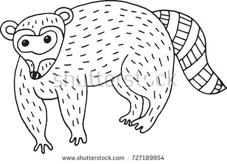 450x326 Coloring Pages Raccoons Drawn Easy Printable Coloring Pages