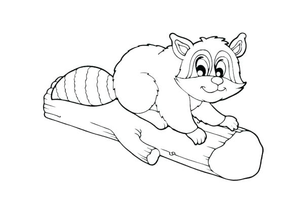 600x423 Beautiful Raccoon Coloring Pages Free Download How To Draw