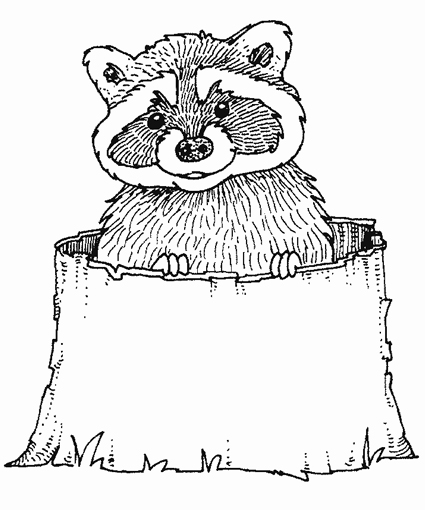 425x510 Cartoon Raccoon Coloring Pages