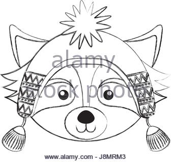 336x320 Face Of A Raccoon Stock Photo, Royalty Free Image 12458040