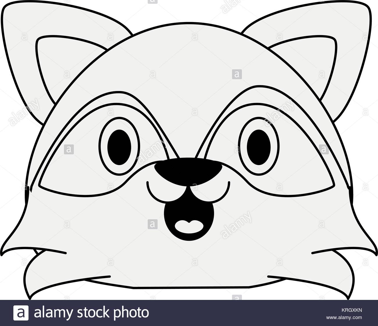 1300x1124 Pet Raccoon Stock Photos Amp Pet Raccoon Stock Images