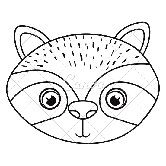550x550 Raccoon Face
