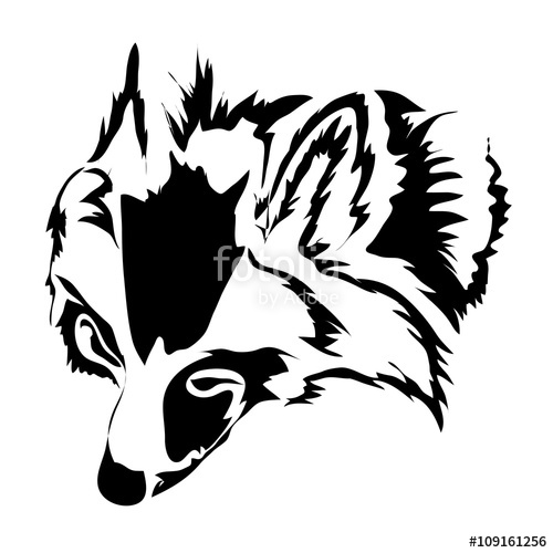 500x500 Realistic Outline Raccoon Face Vector Illustration. Can Be Use F
