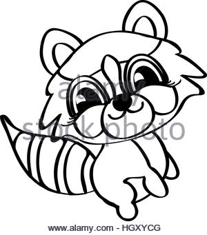 300x341 Drawing Raccoon Face Animal Stock Vector Art Amp Illustration