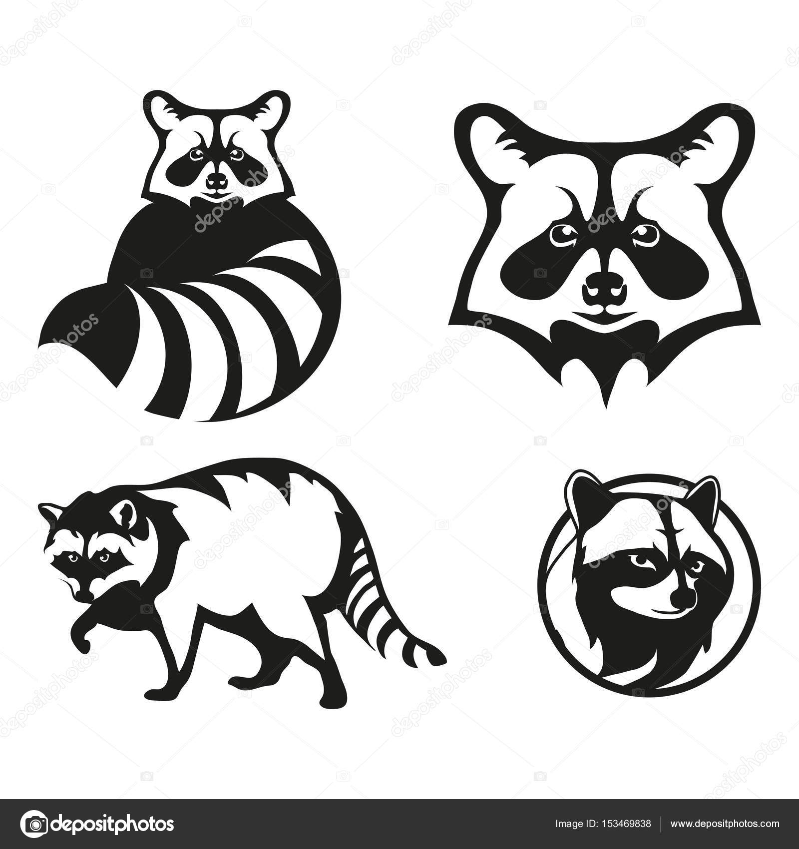 1600x1700 Set Of Raccoon Logos Stock Vector