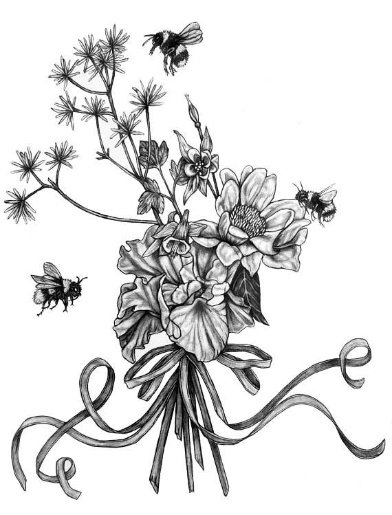 570x749 75 Best Pencil Drawings Images On Art Blog, Dance