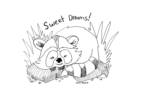 468x340 Rachel Maybeth Sleeping Baby Raccoon Free Coloring Page