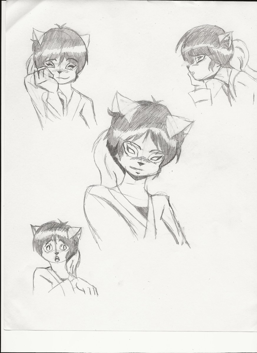 873x1200 Samurai Raccoon On Twitter