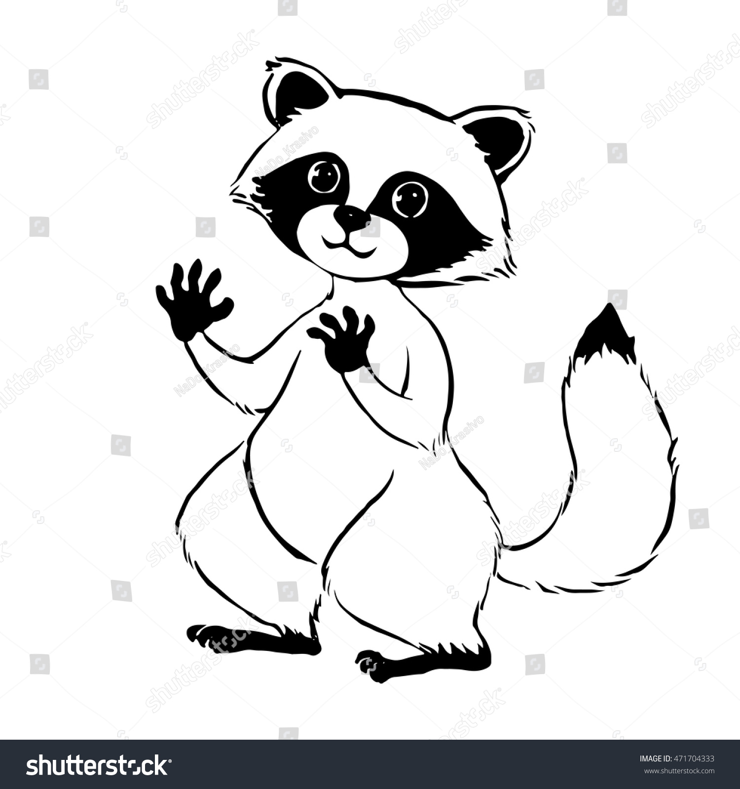 1500x1600 Drawn Raccoon Little