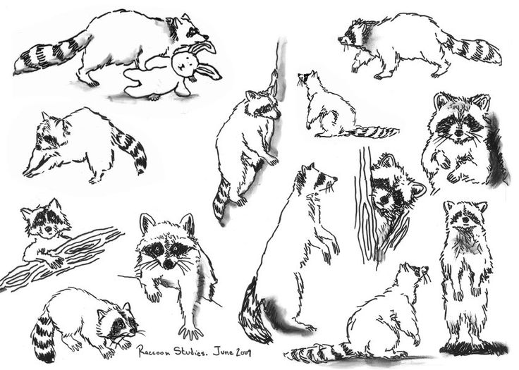 736x525 19 Best Castillo, Lauren Images On Baby Books