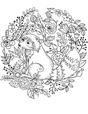 371x480 Raccoon Coloring Page Free Printable Coloring Pages