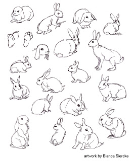 269x320 Raccoons Drawing Sketches Bianca Siercke Animal Drawings 01